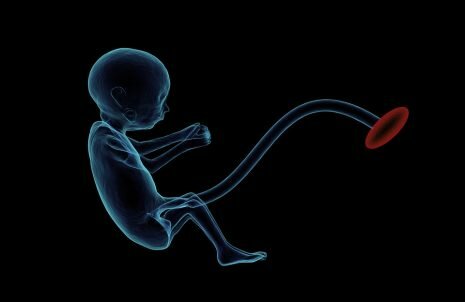 تفسير حلم اسقاط أو اجهاض الجنين للحامل والبنت والمتزوجة