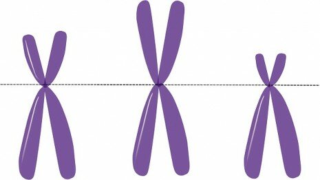 كروموسومات X-Y