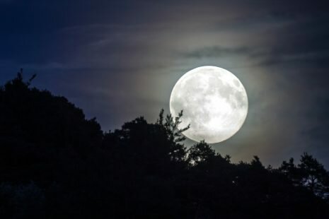 ضوء القمر ونور البدر وتفسيره في الحلم